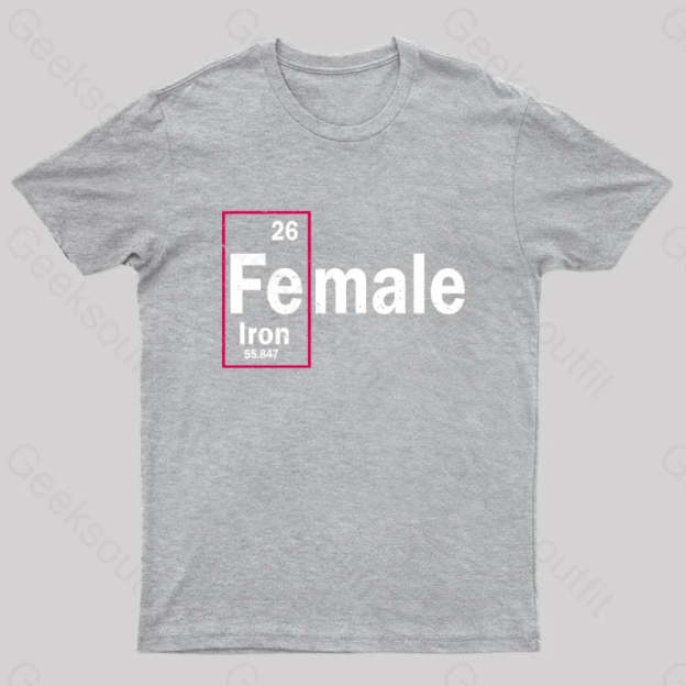 Fe-Male Iron Geek T-Shirt Grey / S