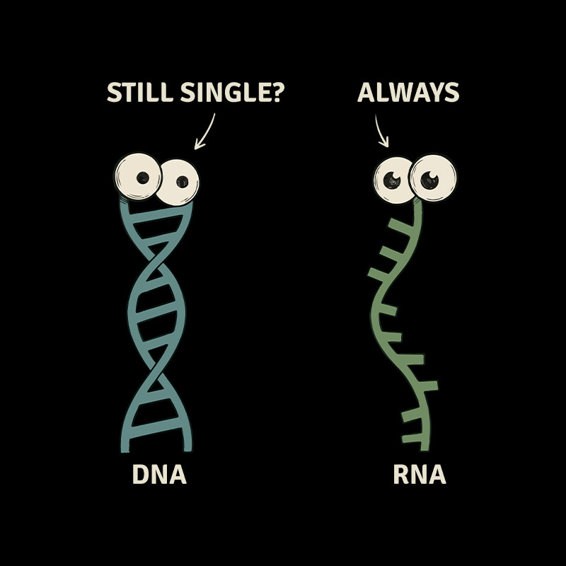 Genetic Function Geek T-Shirt