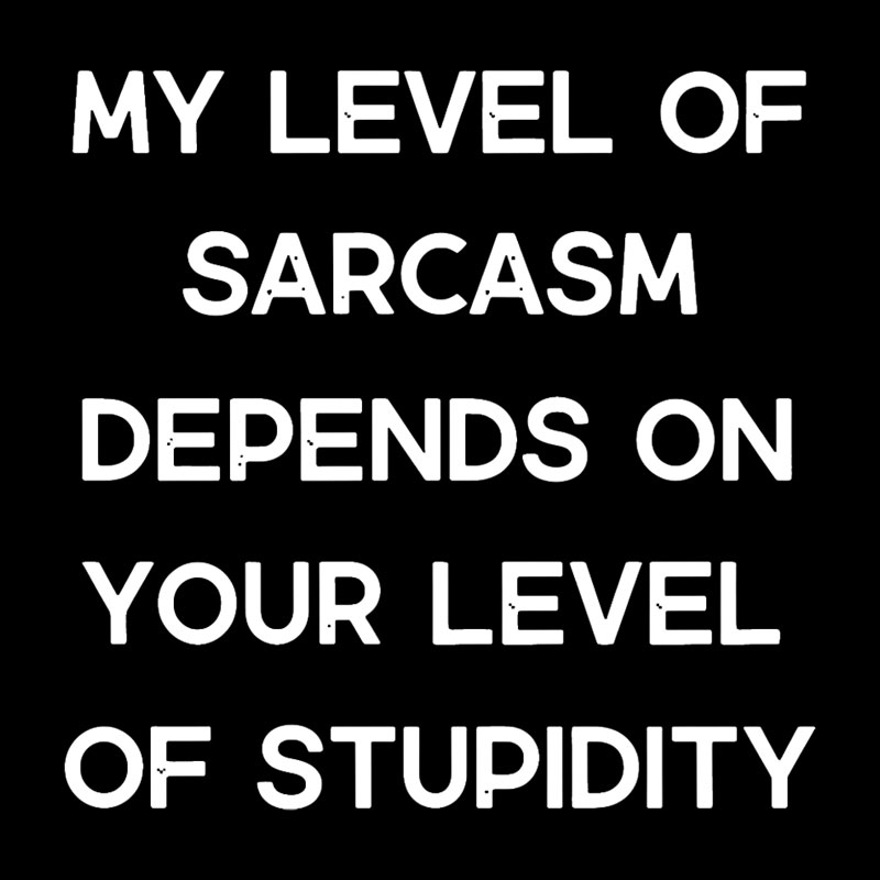 My Level of Sarcasm Depends on Your Level of Stupidity Geek T-Shirt
