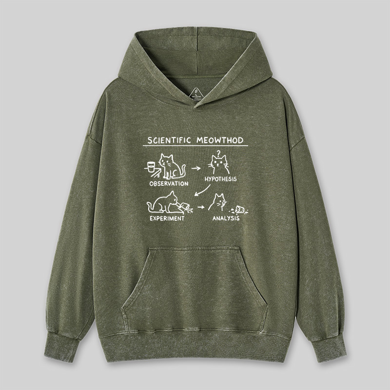 Scientific Meowthod Washed Hoodie