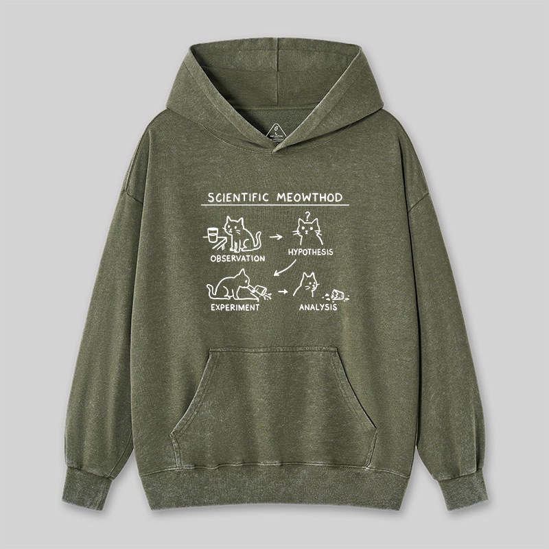 Scientific Meowthod Washed Hoodie