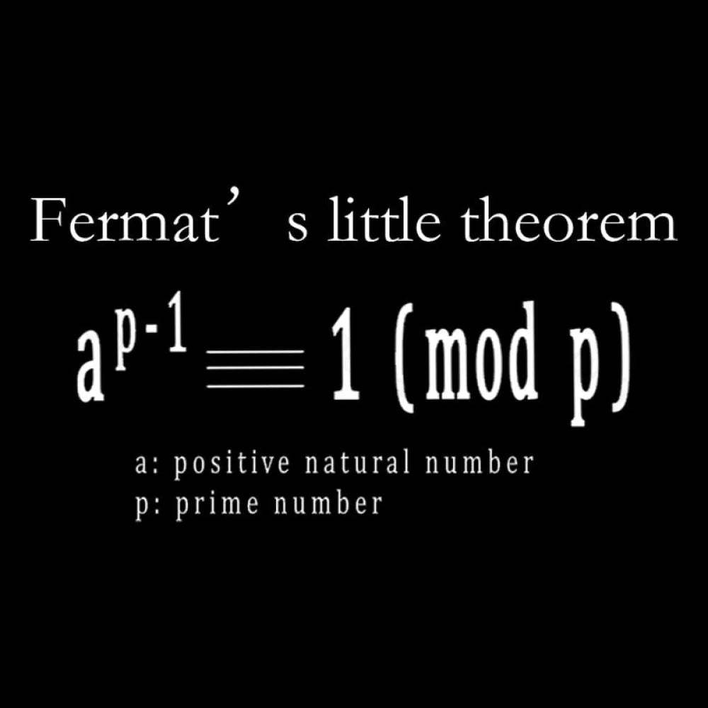Fermat’s Little Theorem Geek T-Shirt