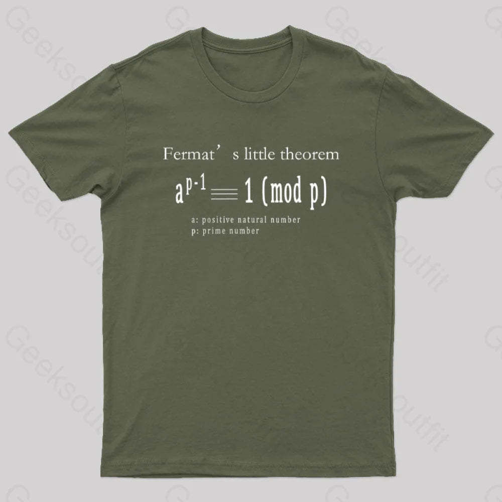 Fermat’s Little Theorem Geek T-Shirt Army Green / S