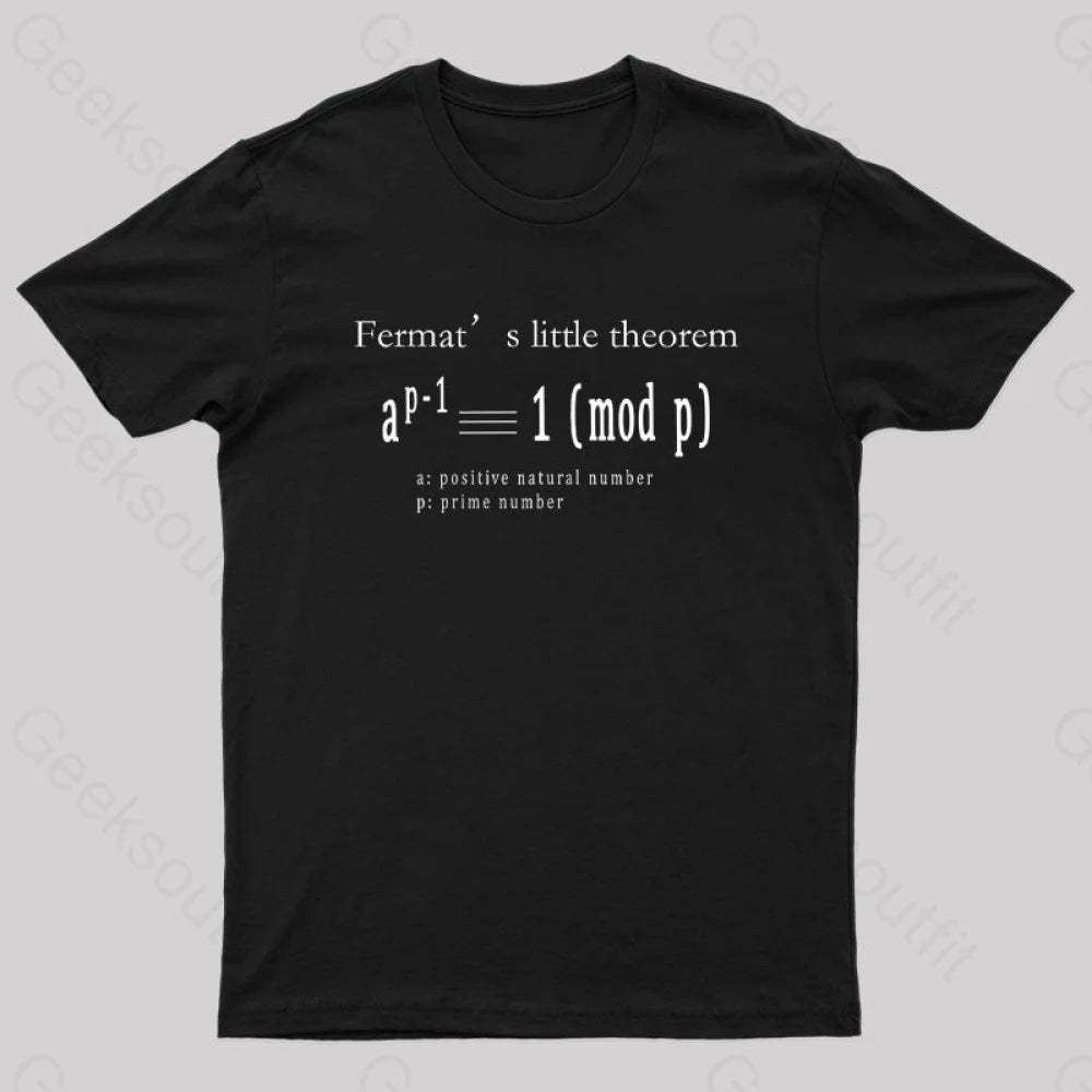 Fermat’s Little Theorem Geek T-Shirt Black / S