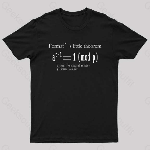 Fermat’s Little Theorem Geek T-Shirt Black / S