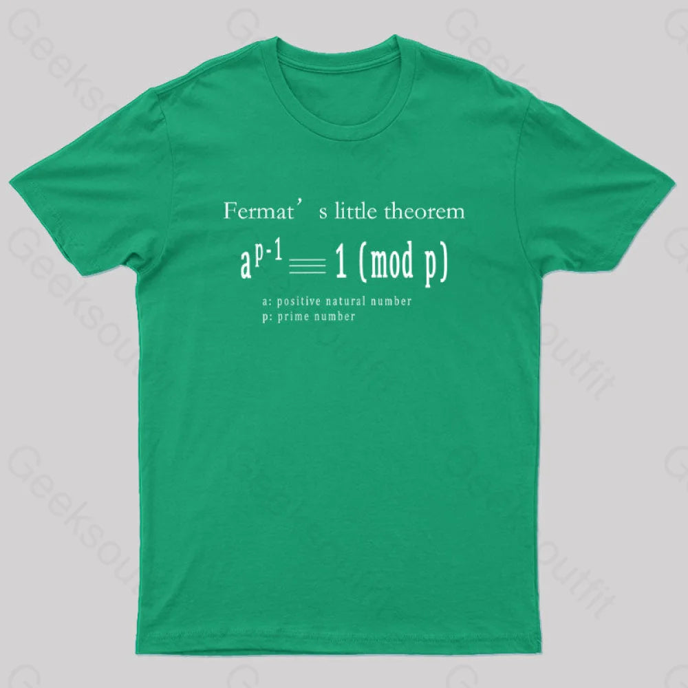 Fermat’s Little Theorem Geek T-Shirt Green / S