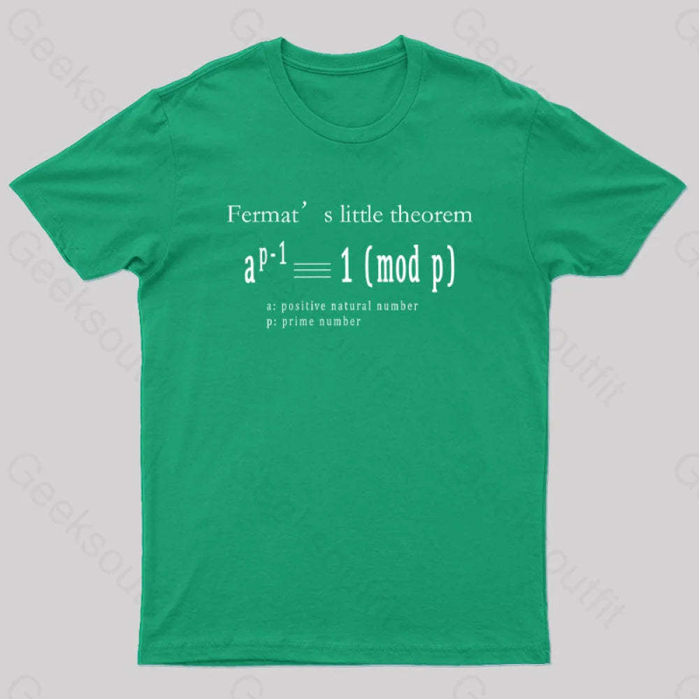 Fermat’s Little Theorem Geek T-Shirt Green / S