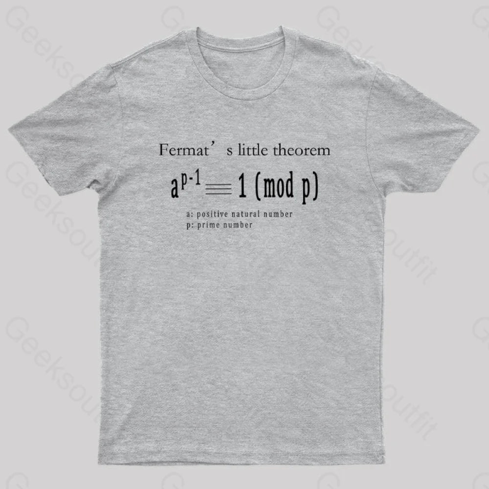 Fermat’s Little Theorem Geek T-Shirt Grey / S