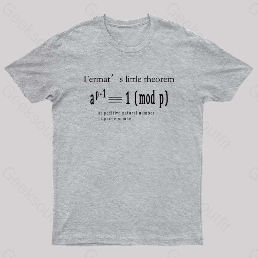 Fermat’s Little Theorem Geek T-Shirt Grey / S