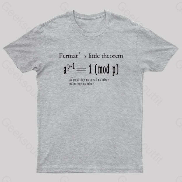 Fermat’s Little Theorem Geek T-Shirt Grey / S