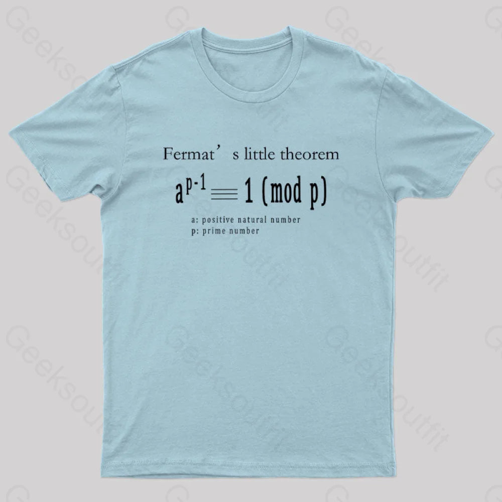 Fermat’s Little Theorem Geek T-Shirt Light Blue / S