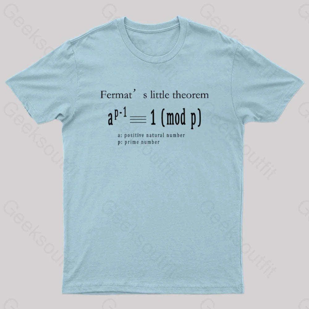 Fermat’s Little Theorem Geek T-Shirt Light Blue / S