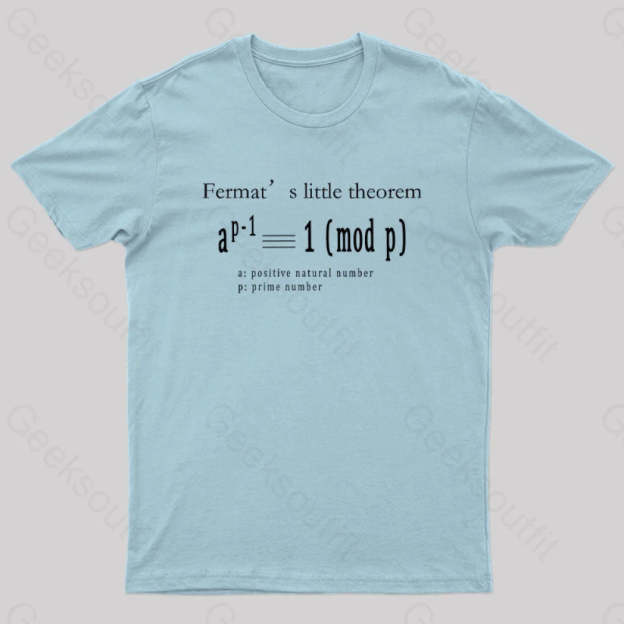 Fermat’s Little Theorem Geek T-Shirt Light Blue / S