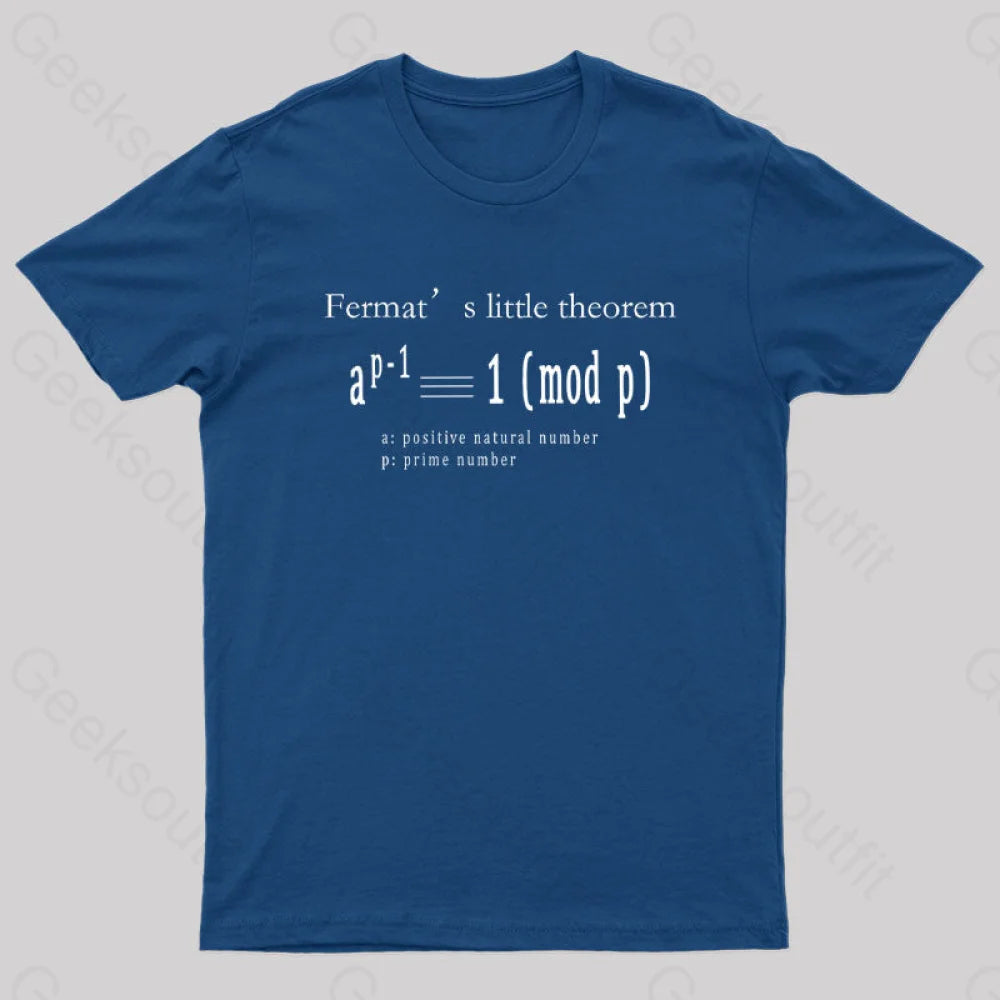 Fermat’s Little Theorem Geek T-Shirt Navy / S