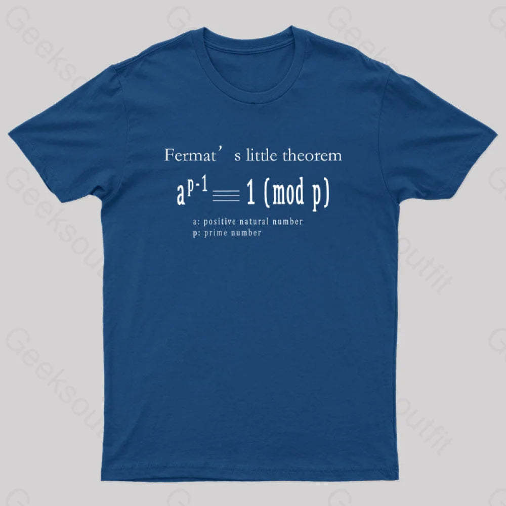 Fermat’s Little Theorem Geek T-Shirt Navy / S