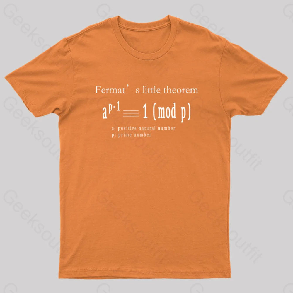 Fermat’s Little Theorem Geek T-Shirt Orange / S