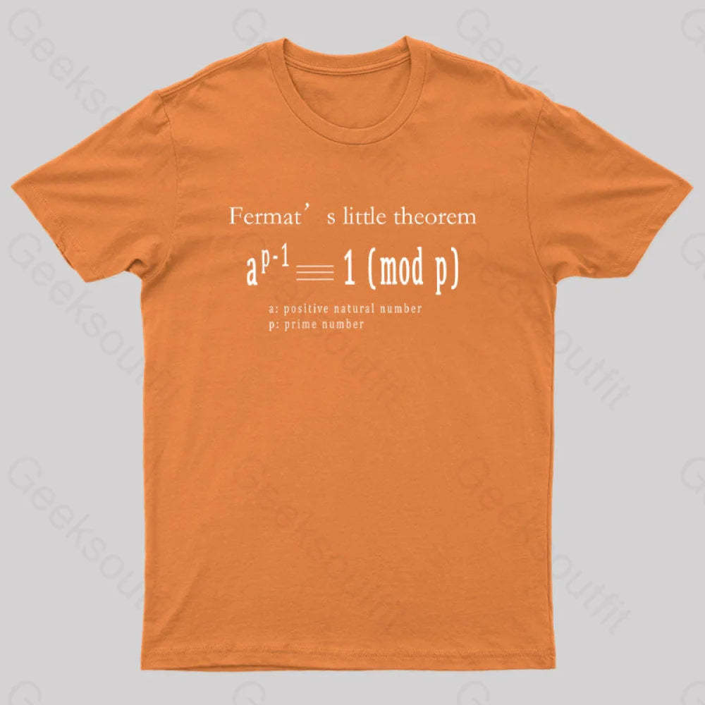 Fermat’s Little Theorem Geek T-Shirt Orange / S