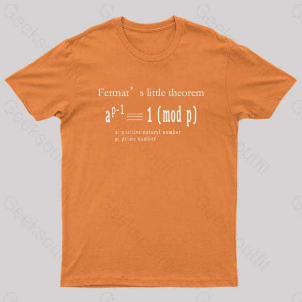 Fermat’s Little Theorem Geek T-Shirt Orange / S
