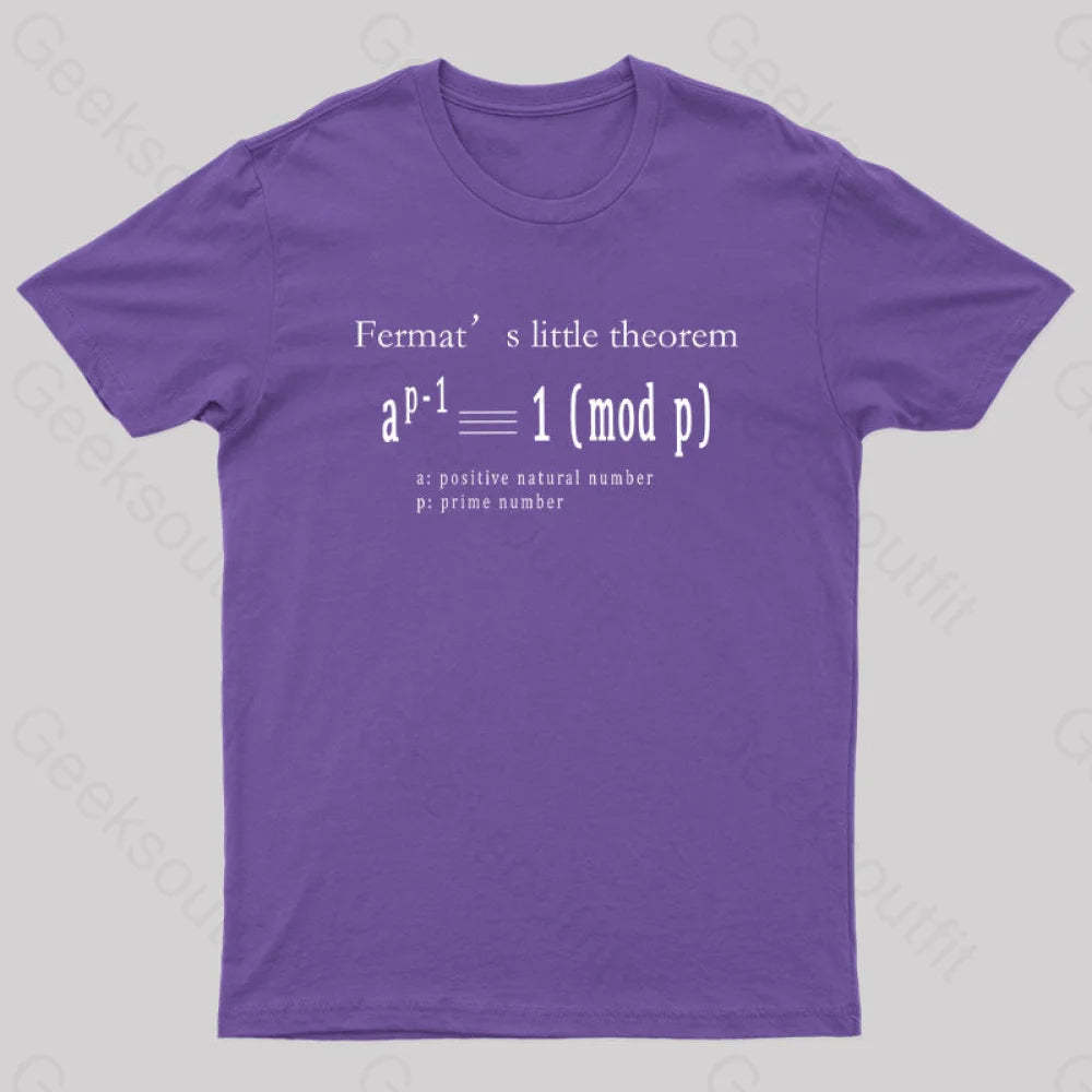 Fermat’s Little Theorem Geek T-Shirt Purple / S