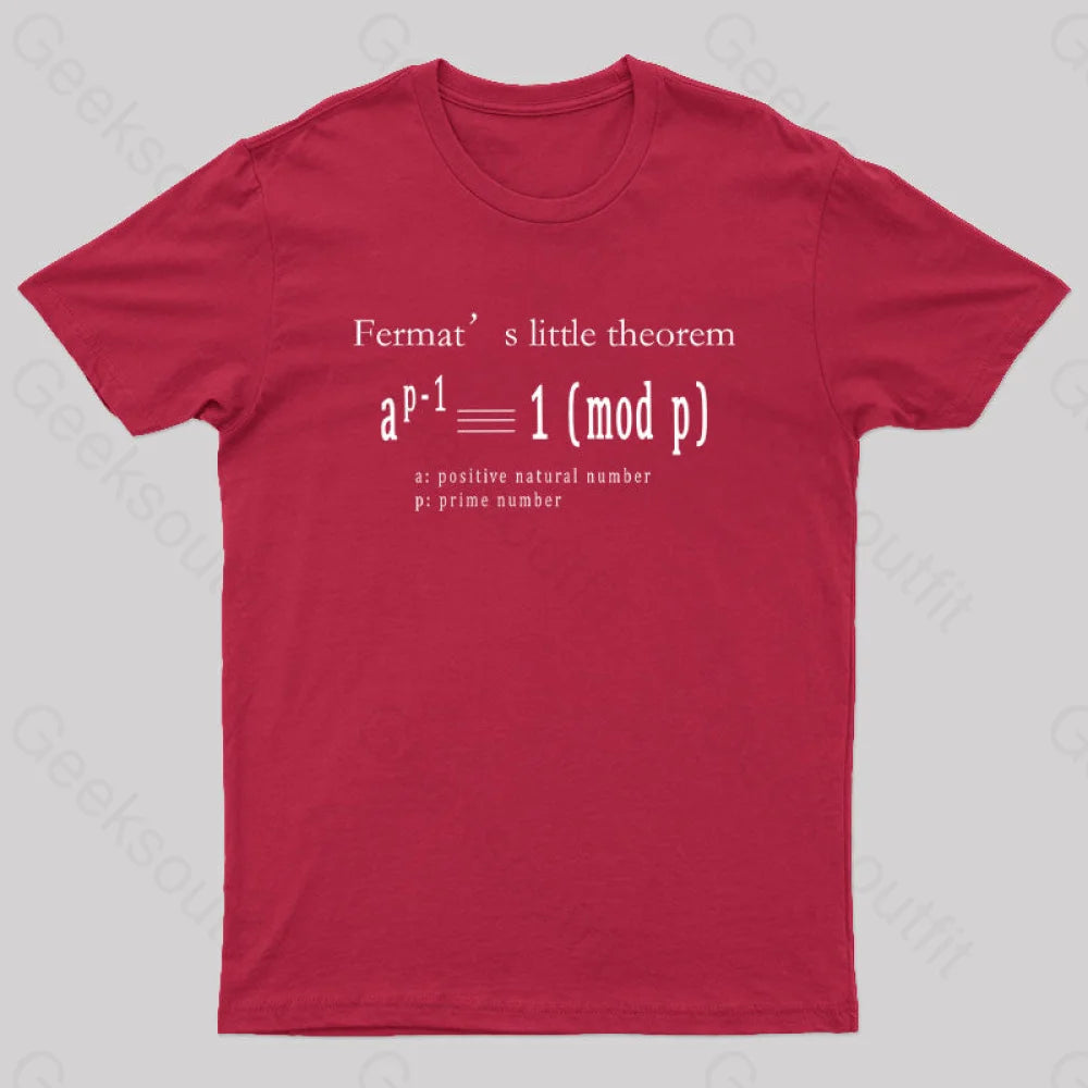 Fermat’s Little Theorem Geek T-Shirt Red / S