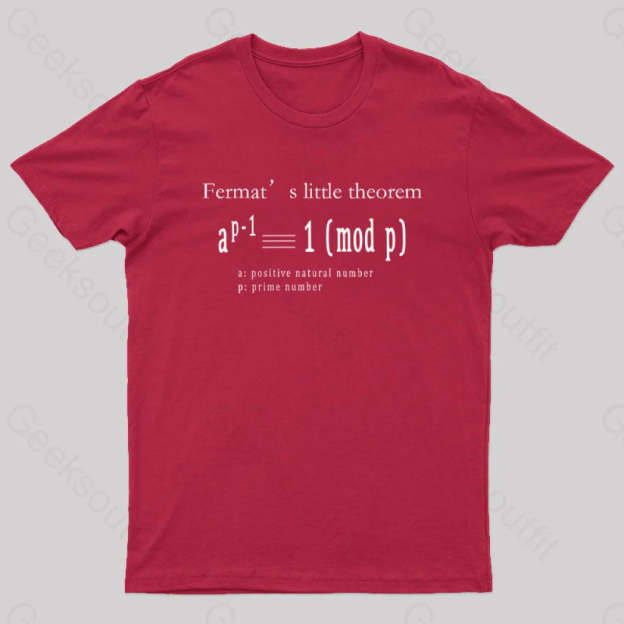 Fermat’s Little Theorem Geek T-Shirt Red / S