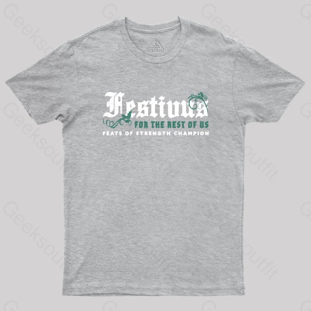 Festivus Geek T-Shirt Grey / S