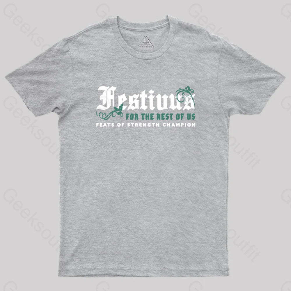 Festivus Geek T-Shirt Grey / S