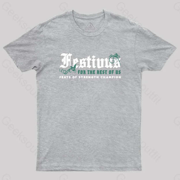 Festivus Geek T-Shirt Grey / S