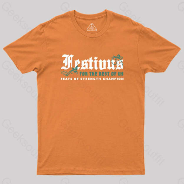 Festivus Geek T-Shirt Orange / S