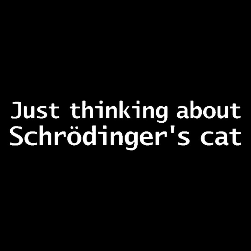 Quantum Physics Just Thinking About Schrodingers Cat Geek T-Shirt