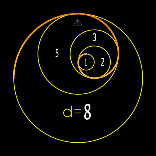 Fibonacci Circles T-Shirt