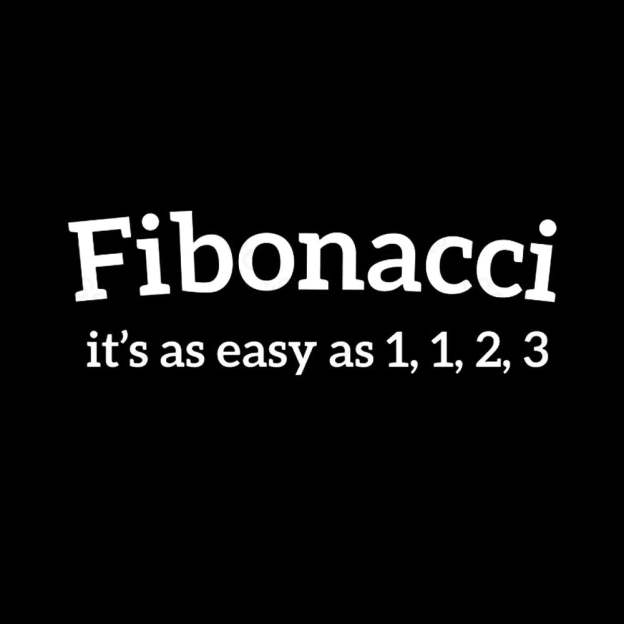 Fibonacci Funny Quote Nerd T-Shirt