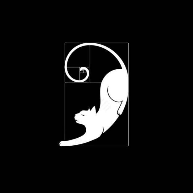 Fibonacci Kitty T-Shirt