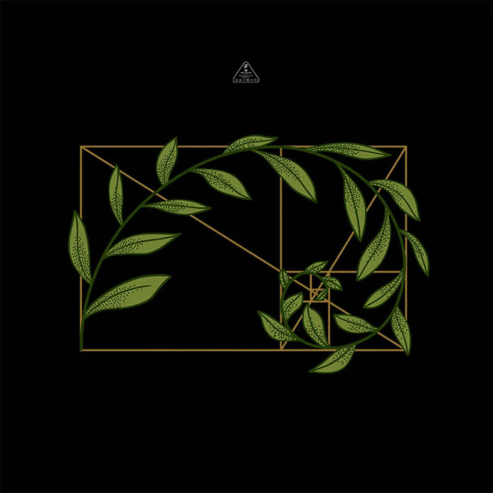 Fibonacci Wicker T-Shirt Yc