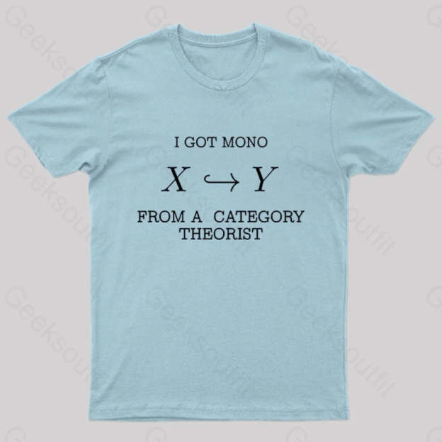 From A Category Theorist Geek T-Shirt Light Blue / S