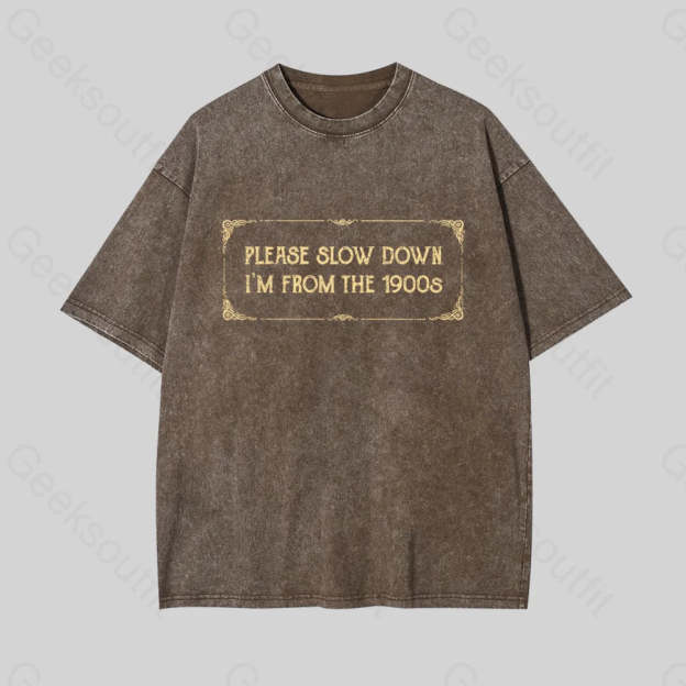 From The 1900S Geek Washed T-Shirt Coffee / S