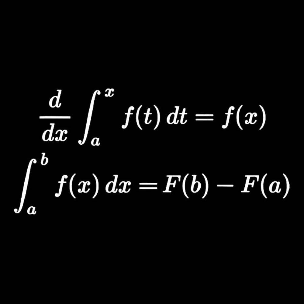 Fundamental Theorem Of Calculus Geek T-Shirt