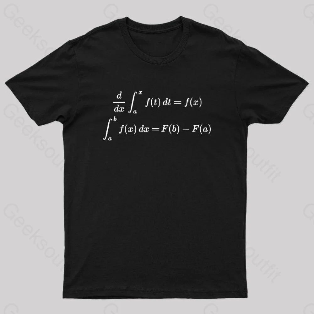 Fundamental Theorem Of Calculus Geek T-Shirt Black / S