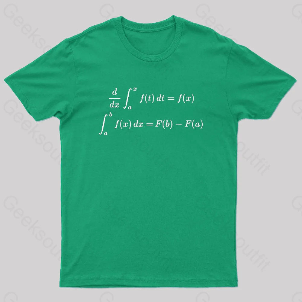 Fundamental Theorem Of Calculus Geek T-Shirt Green / S