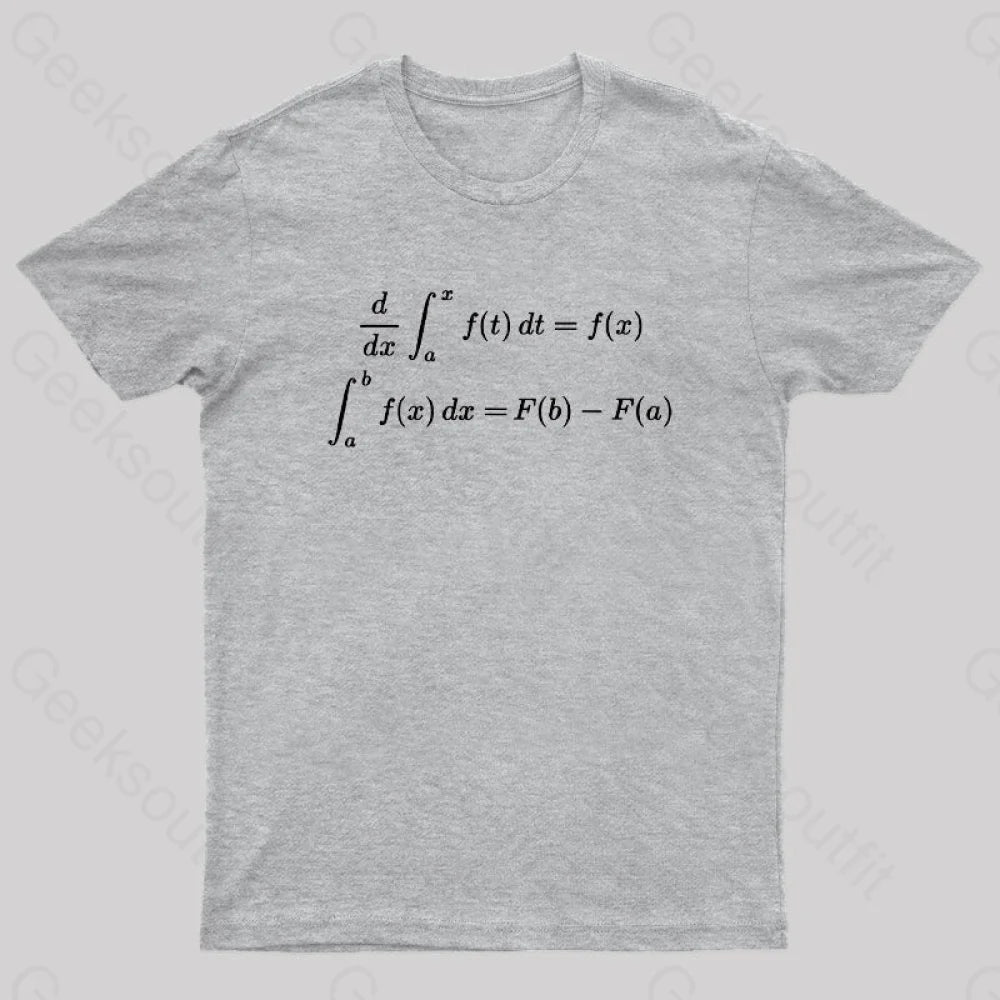Fundamental Theorem Of Calculus Geek T-Shirt Grey / S