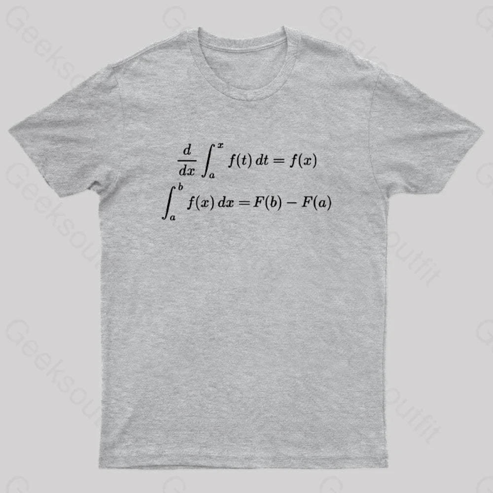 Fundamental Theorem Of Calculus Geek T-Shirt Grey / S