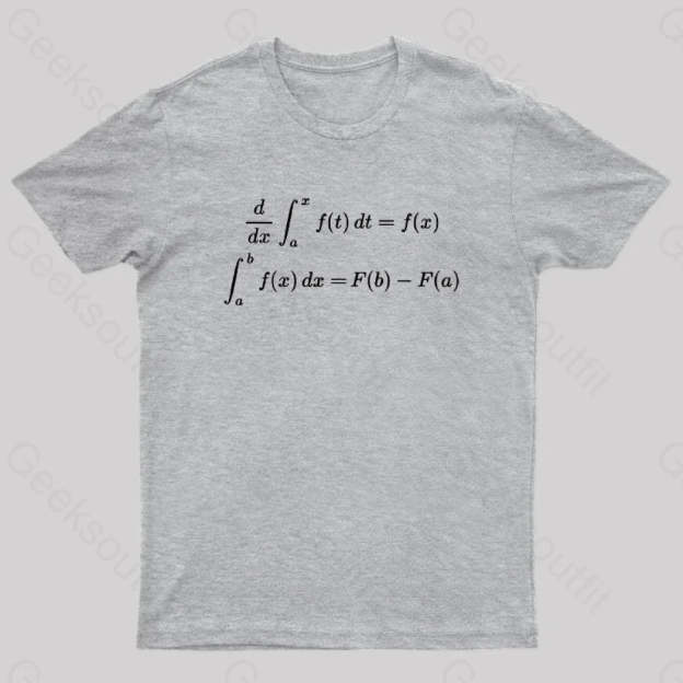 Fundamental Theorem Of Calculus Geek T-Shirt Grey / S