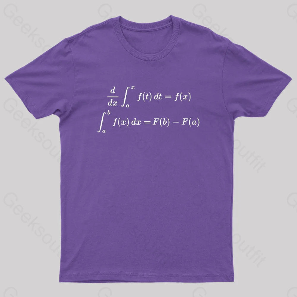 Fundamental Theorem Of Calculus Geek T-Shirt Purple / S