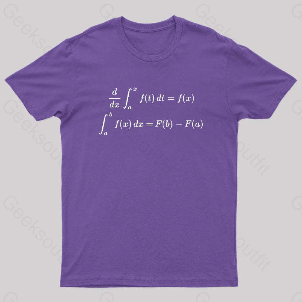 Fundamental Theorem Of Calculus Geek T-Shirt Purple / S