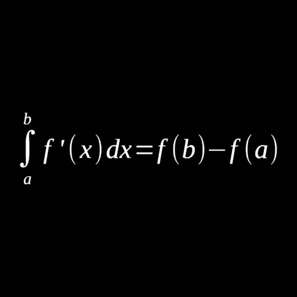 Fundamental Theorem Of Calculus Math Geek T-Shirt