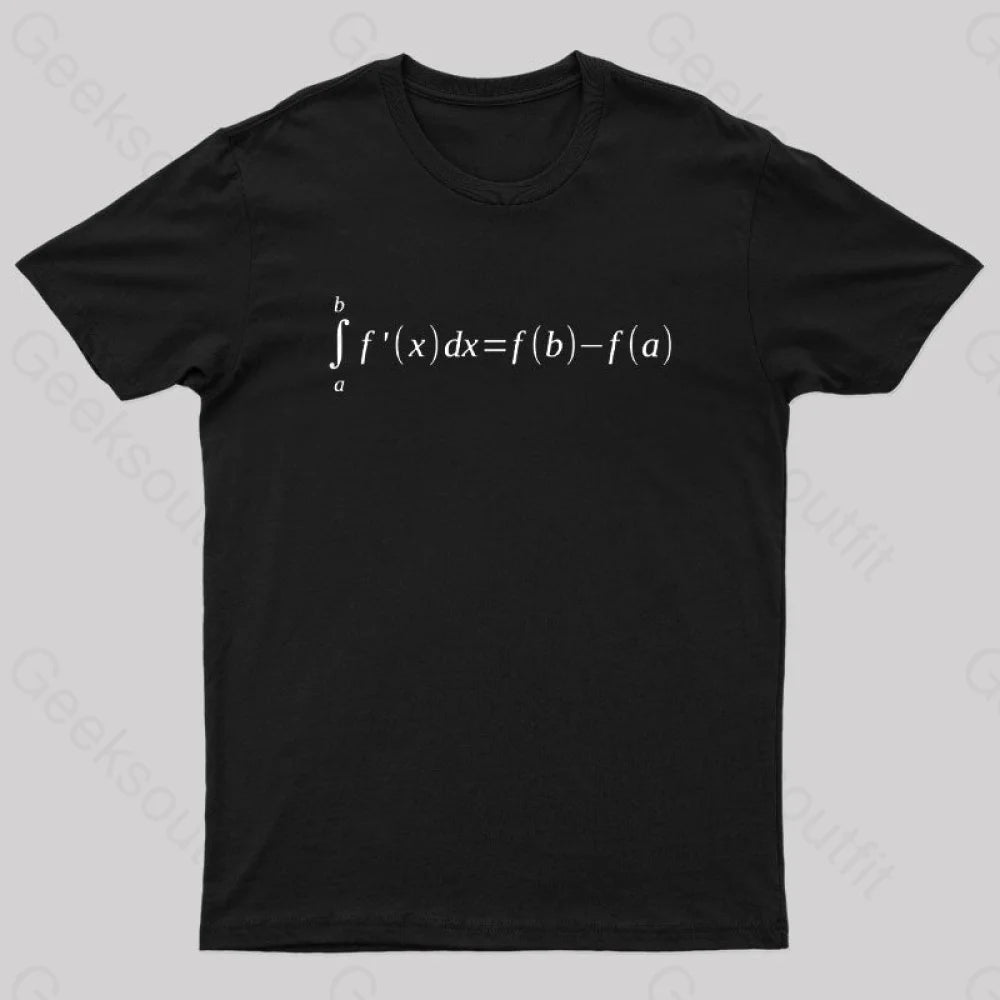 Fundamental Theorem Of Calculus Math Geek T-Shirt Black / S