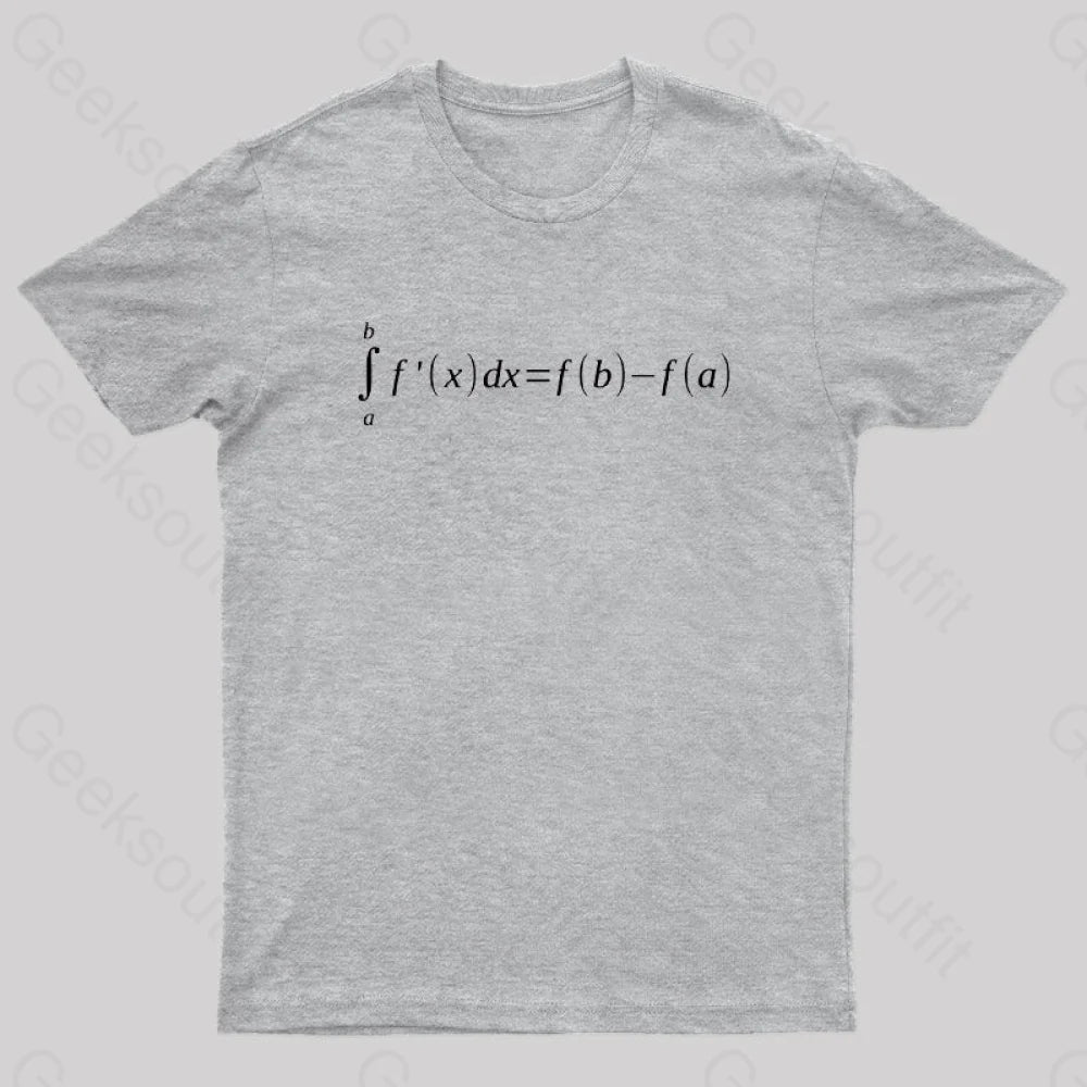 Fundamental Theorem Of Calculus Math Geek T-Shirt Grey / S