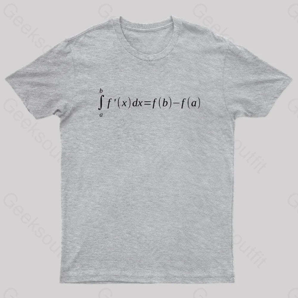 Fundamental Theorem Of Calculus Math Geek T-Shirt Grey / S