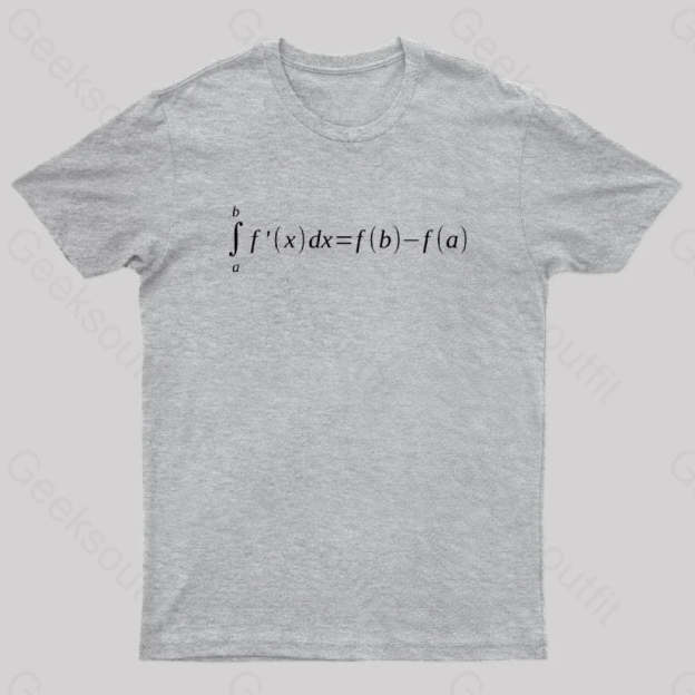 Fundamental Theorem Of Calculus Math Geek T-Shirt Grey / S