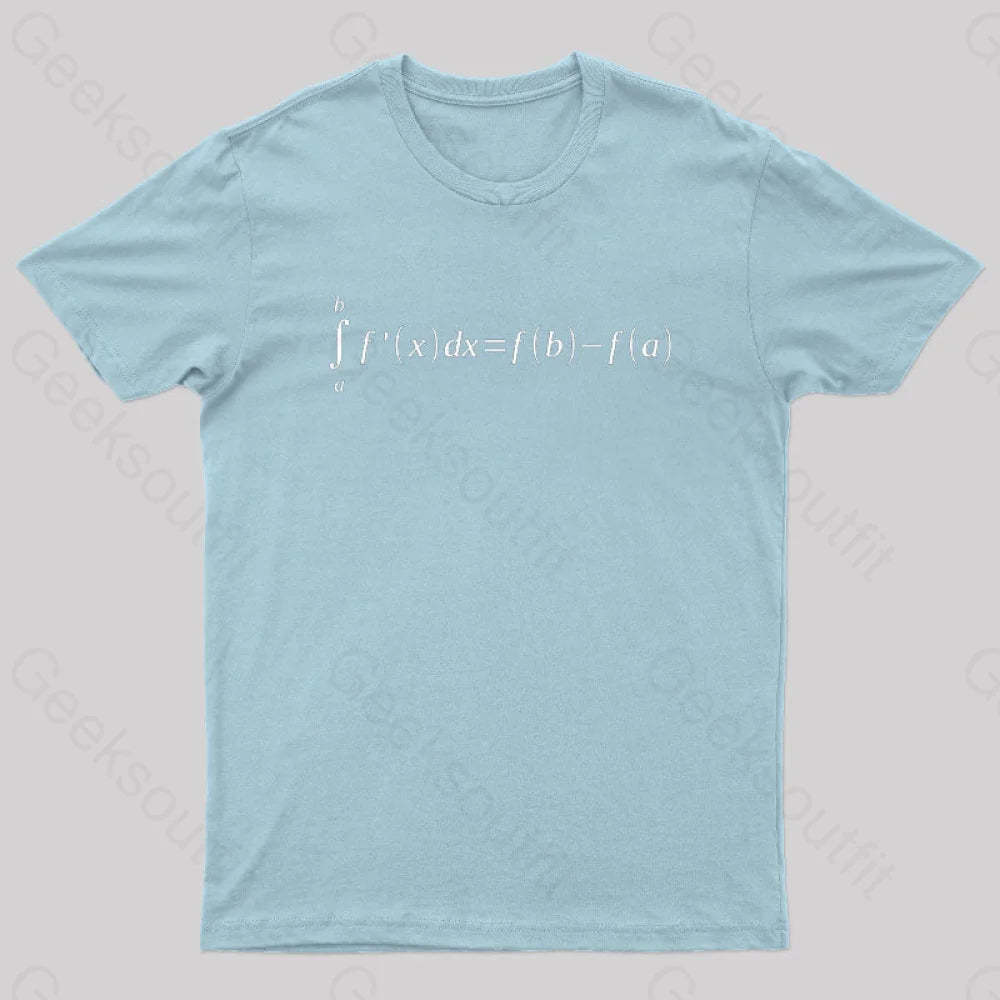 Fundamental Theorem Of Calculus Math Geek T-Shirt Light Blue / S